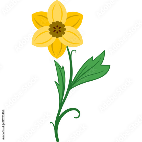 daffodil
