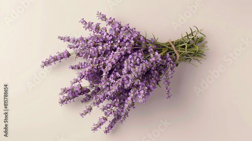 Bouquet of beautiful lavender flowers on light background