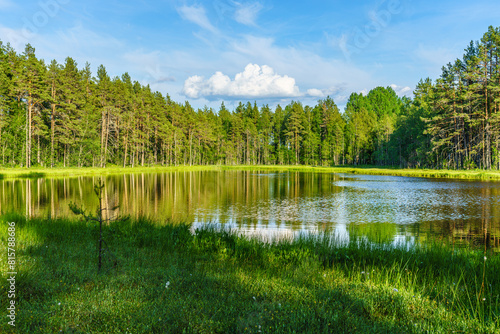 Beautiful summer view of a small lake in northern Sweden