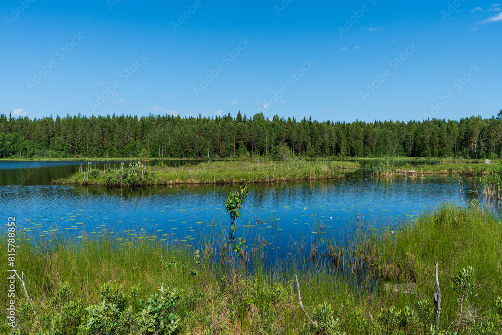 Fototapeta premium Nature view from a small lake in the Swedish countryside