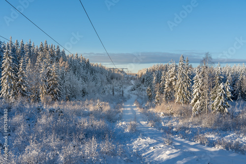 Powerlines in winter crossing a snow covered forest