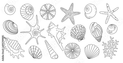 Big summer sea set of simple outline elements of the underwater world hand drawn, a variety of shells, starfish, sea urchins, corals for pattern, stickers, logo. Isolated on a white background. Vector photo