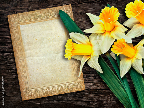vintage-style invitation or greeting card with white daffodils