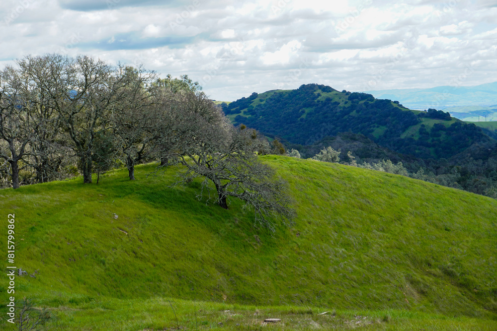 Fototapeta premium Grass Covered Ridge Lines and Hills