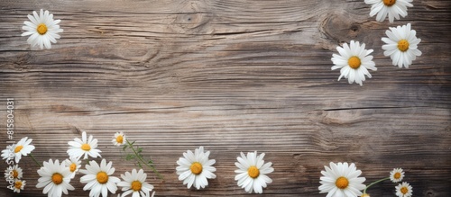 Weathered wood background with daisy flowers providing a beautiful copy space image © StockKing