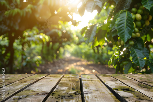 Sunlit coffee plantation path viewed over wooden table photo