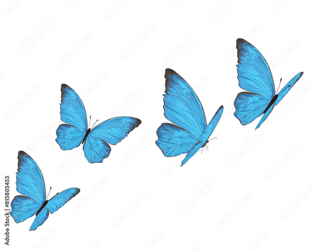 watercolor blue butterfly design butterfly watercolor blue butterfly design butterfly