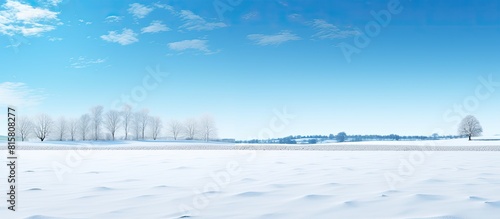 Under a clear sky an empty green field is covered with a pristine white blanket of snow The image has ample space for any desired text or graphics