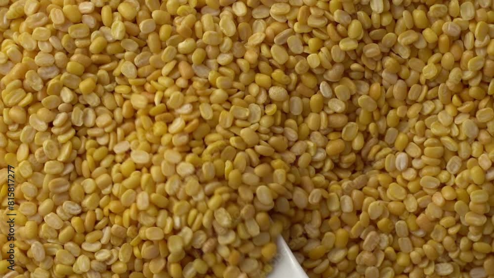 Macro video of moong dal. Close up of yellow lentils kept on rotating disk. 360 degree rotation of moong dals. Macro video of moong dal. Close up of yellow lentils kept on rotating disk. 360 degree rotation of moong dals.