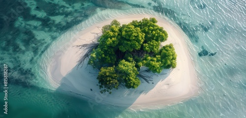 island surrounded by water and white sand, top view