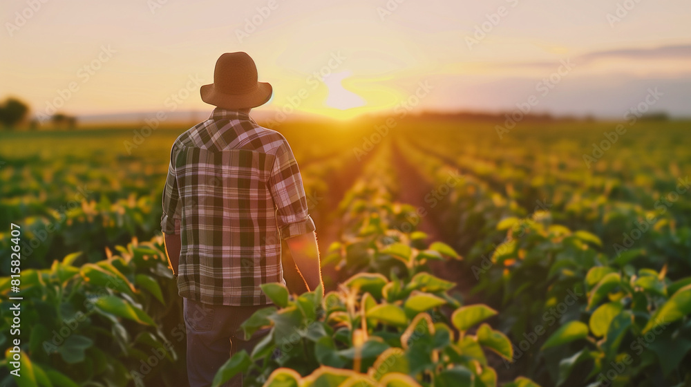 Fototapeta premium Photo of girl in a field