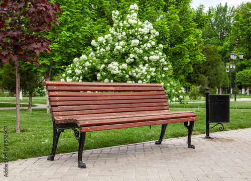 wooden bench in the park in spring against the background of a flowering bush