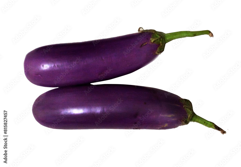 eggplants isolated on white background eggplants isolated on white background