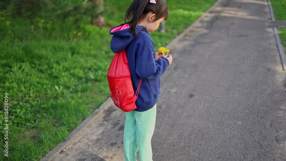 A cute little girl holds yellow dandelion flowers and brings them to her face. A little girl with a red backpack walks in the park, coming from school. The girl enjoys a walk and the scent of flowers. A cute little girl holds yellow dandelion flowers and brings them to her face. A little girl with a red backpack walks in the park, coming from school. The girl enjoys a walk and the scent of flowers.