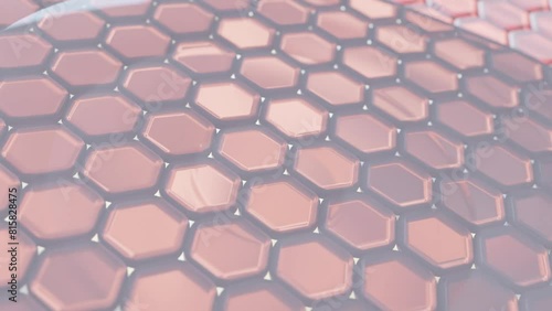 Skin cells moisture barrier animation showing dynamic coverage of liquid protective layer.