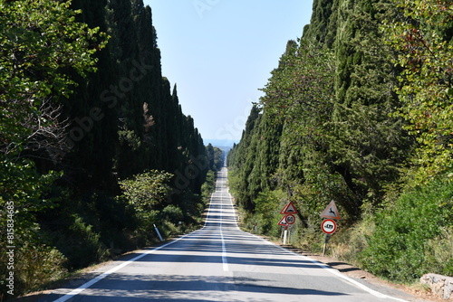 Wallpaper Mural Il viale dei Cipressi che dall'Oratorio di San guido (sulla via Aurelia) conduce a Bolgheri  ombreggiato da entrami i lati  da una fila fittissima di cipressi  Torontodigital.ca