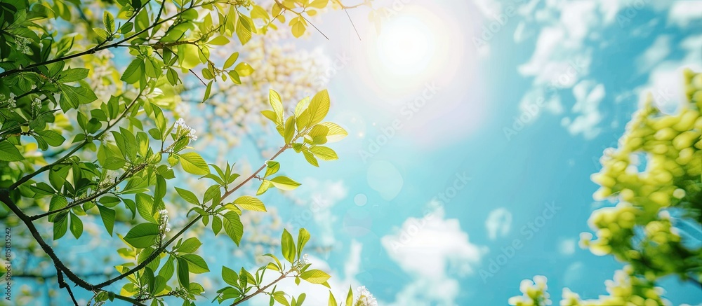 Beautiful blurred background image of spring nature with surrounded by trees against a blue sky with clouds on a bright sunny day AI generated Beautiful blurred background image of spring nature with surrounded by trees against a blue sky with clouds on a bright sunny day AI generated