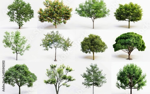 A collection of diverse isolated trees on a white background.