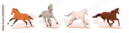 Horses galloping set. Wild stallions running at fast speed, rising dust from ground. Beautiful strong free racehorses in action, movement. Flat vector illustration isolated on white background
