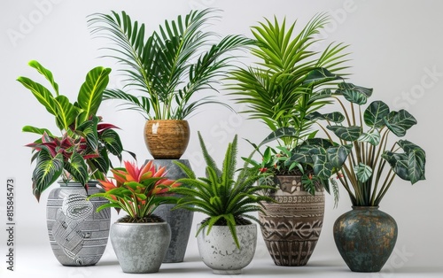 Assorted potted tropical houseplants with stylish planters.