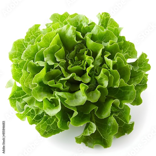 Fresh Iceberg Lettuce: Crisp, Cool, and Nutrient-Packed Greens for Healthy Living photo