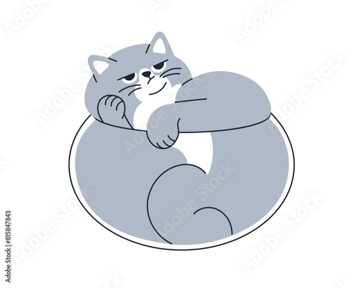 Unimpressed cat curled up, looking skeptical. Chubby feline with doubtful expression, lying, judging. Funny amusing lazy kitty animal meme. Flat vector illustration isolated on white background