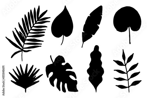 Set of hand drawn tropical leaves. Black silhouette of exotic leaves on an isolated background. Vector.
