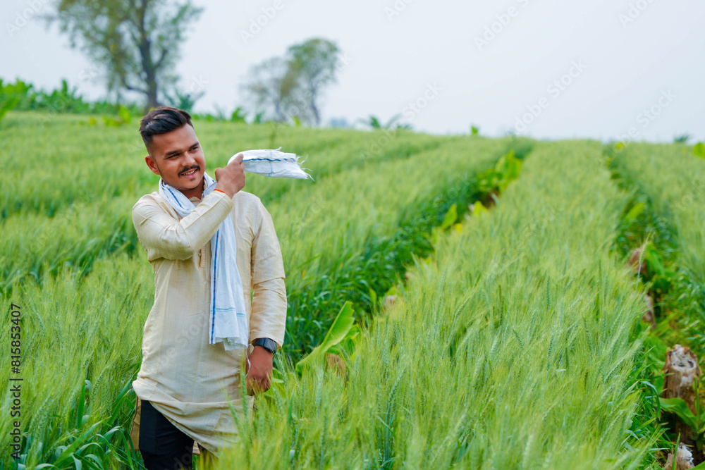 Young Indian farmer in a field of green wheat Young Indian farmer in a field of green wheat