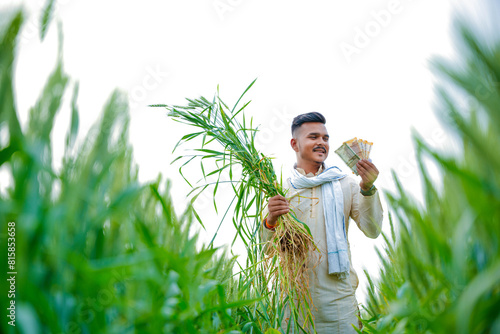 Young Indian farmer in a field of green wheat