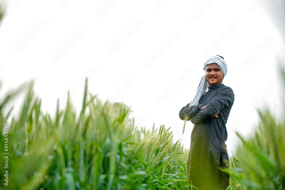 Young Indian farmer in a field of green wheat Young Indian farmer in a field of green wheat