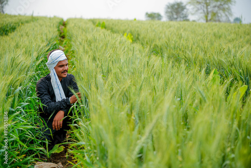Young Indian farmer in a field of green wheat