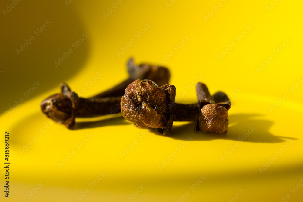 Macro photography of cloves. Concept of natural ingredients Macro photography of cloves. Concept of natural ingredients