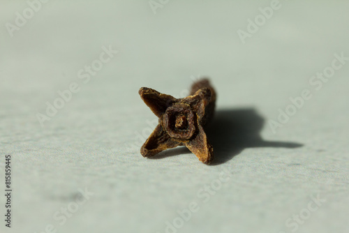 Macro photography of cloves. Concept of natural ingredients