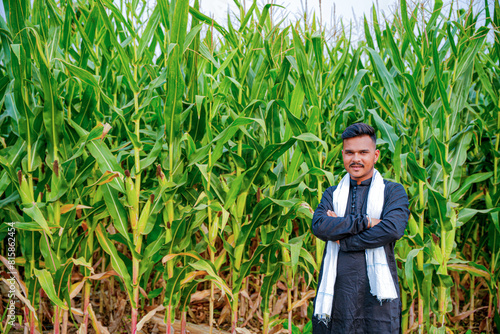 In a cornfield, a young Indian farmer