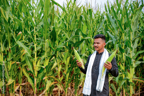 In a cornfield, a young Indian farmer