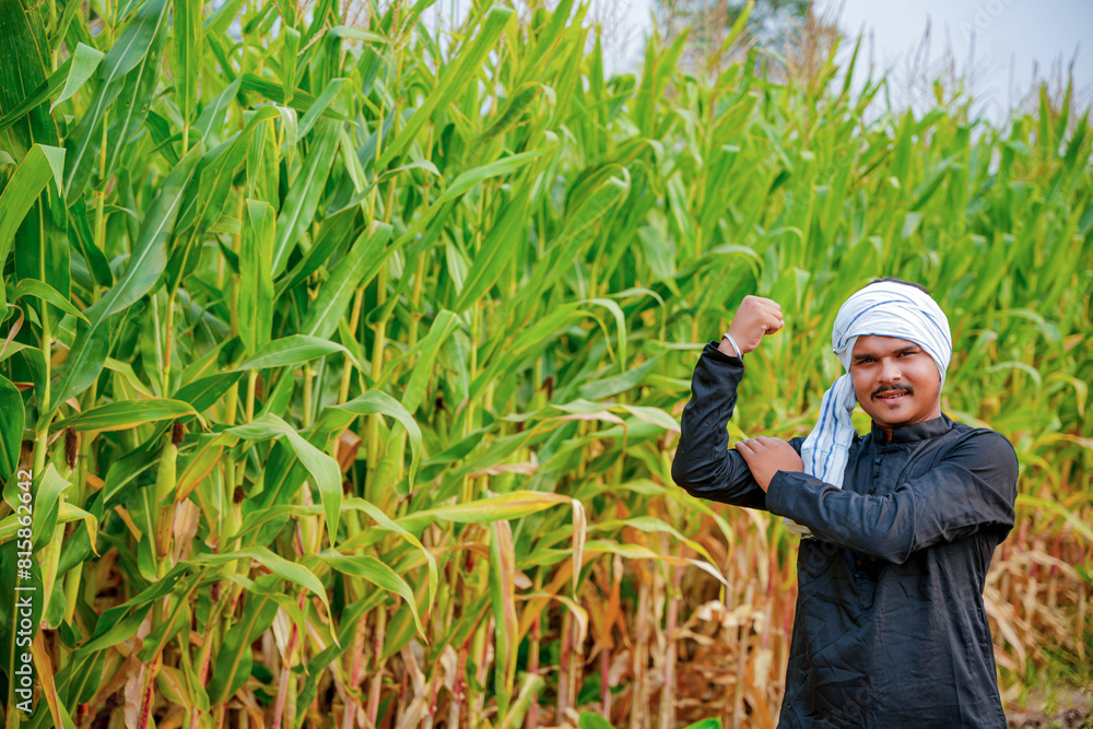 In a cornfield, a young Indian farmer In a cornfield, a young Indian farmer