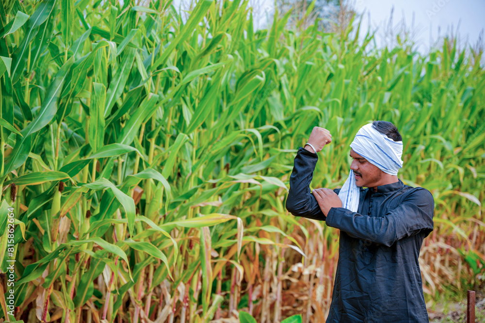 In a cornfield, a young Indian farmer In a cornfield, a young Indian farmer