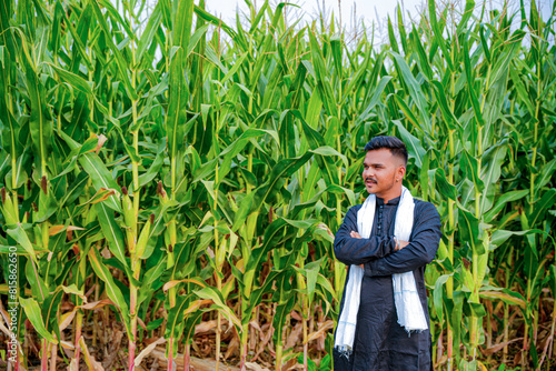 In a cornfield, a young Indian farmer