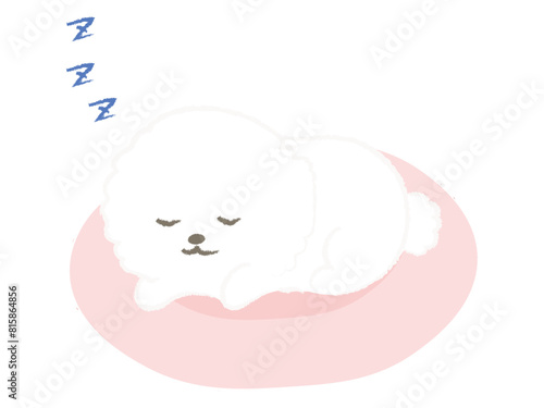 ベッドで眠る犬のイラスト　ビション・フリーゼ