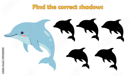 Find the correct shadow  dolphin. isolated on white background. Sea life. Game for children. Vector illustration.