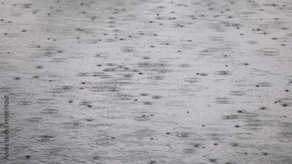 Rain drips on the lake. Tropical rain during the rainy season. Heavy rain on the lake. Relaxed background. Rain drips on the lake. Tropical rain during the rainy season. Heavy rain on the lake. Relaxed background.