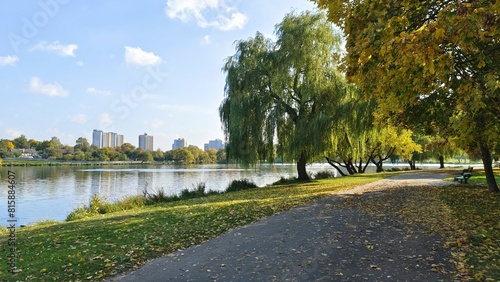 Wooden benches on metal bases are set along a dirt path in the park next to the river, a grassy lawn and willows. The autumn sun shines through the branches of the willows. Sunny autumn weather