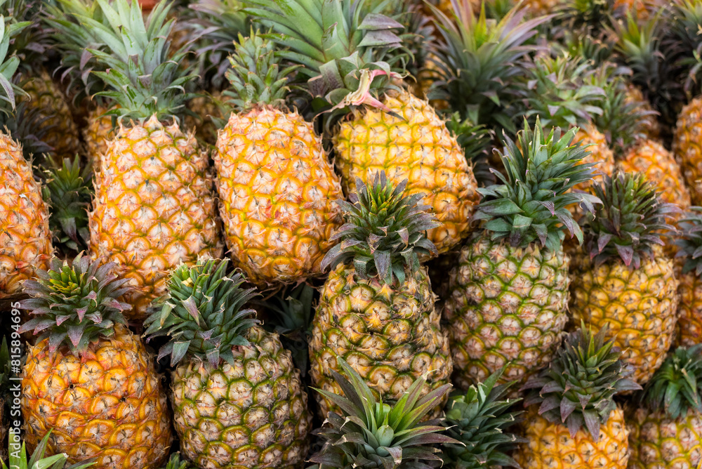 Pineapple sell in the fruit store in the market Pineapple sell in the fruit store in the market