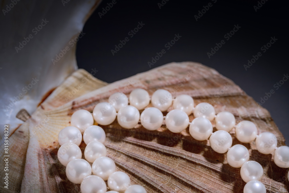 jewelry for woman made of white pearls beautifully arranged on a sea shell jewelry for woman made of white pearls beautifully arranged on a sea shell