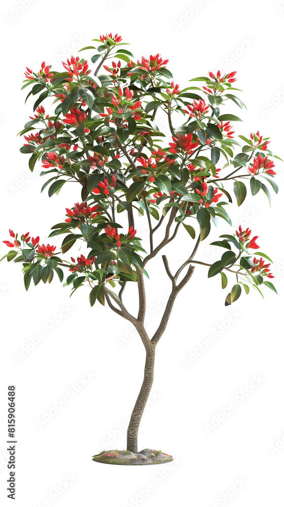 RedLipped Habenaria Indoor Tree A Stunning D Rendered Plant for HighDefinition Design