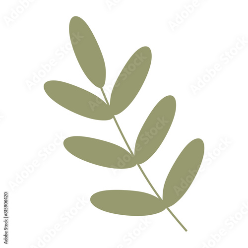 Flat Green Palm tree Branch, Cartoon Acacia Leaves. Closeup isolated Illustration on white background. Vector Botany design Element for Card, Spring Holidays Decoration, Wedding Invitation.