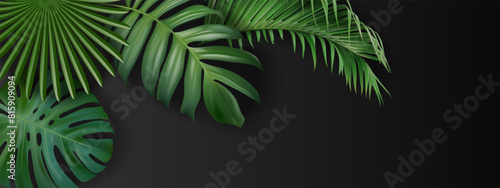 Tropical vector background made of exotic natural leaves. Paradise plants, gorgeous greenery. Stylish fashion banner. Wedding template. Leaves are not trimmed. Isolated and editable