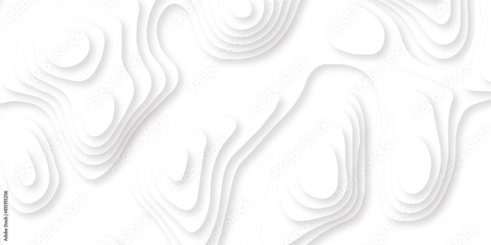Abstract white paper cut template. White waves decorative papercut design. Papercut topography relief vector background illustration. Abstract white paper cut template. White waves decorative papercut design. Papercut topography relief vector background illustration.