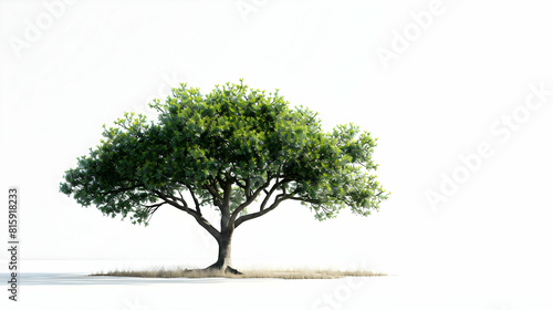 A Lush Fig Tree Isolated on White Background  Photo Realistic Image of Broad Leaves and Ripe Figs  Perfect for Culinary Garden or Historical Content