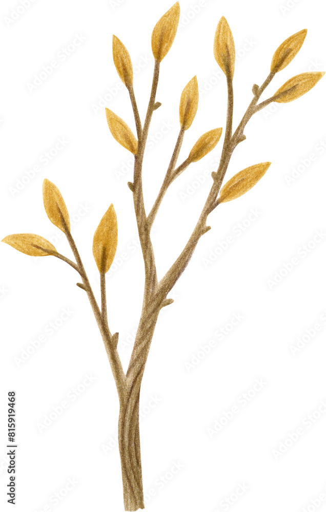 Colored pencil illustration of an autumn leaf, ideal for use in seasonal designs, greeting cards, art projects, home decor, scrapbooking, and educational materials. Perfect for adding a touch of fall Colored pencil illustration of an autumn leaf, ideal for use in seasonal designs, greeting cards, art projects, home decor, scrapbooking, and educational materials. Perfect for adding a touch of fall